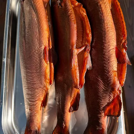 Lesna 5e Rum i privatbostad Sztutowo